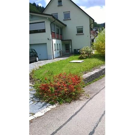 Appartement Haus Marion à Todtnau Extérieur photo