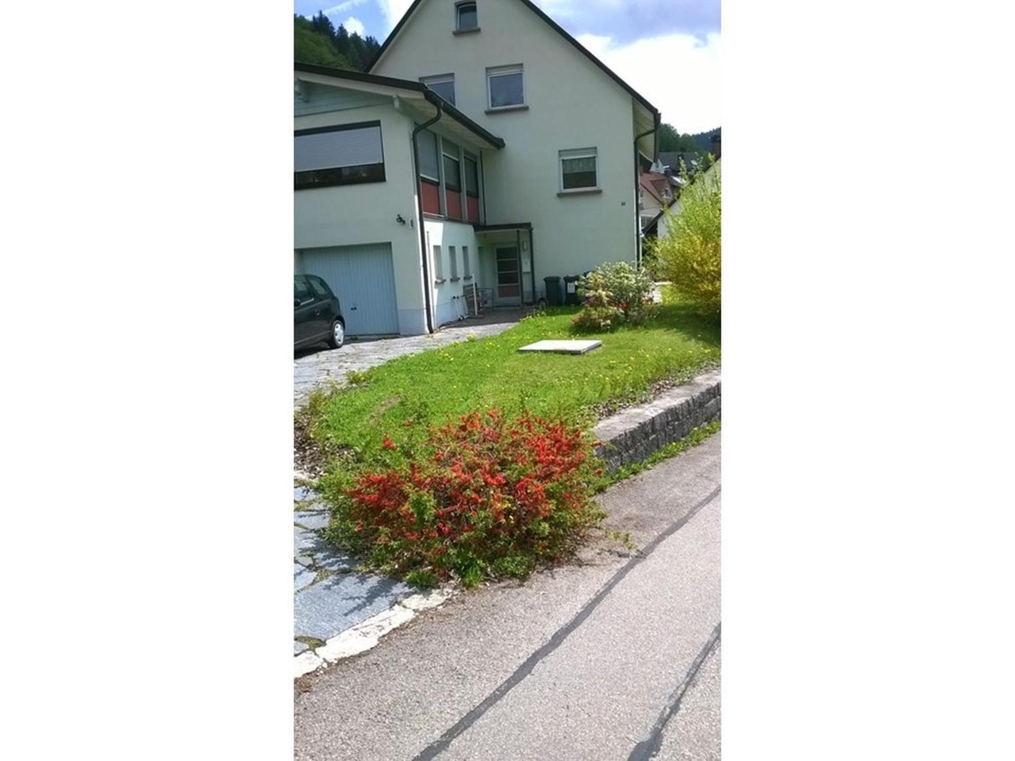 Appartement Haus Marion à Todtnau Extérieur photo