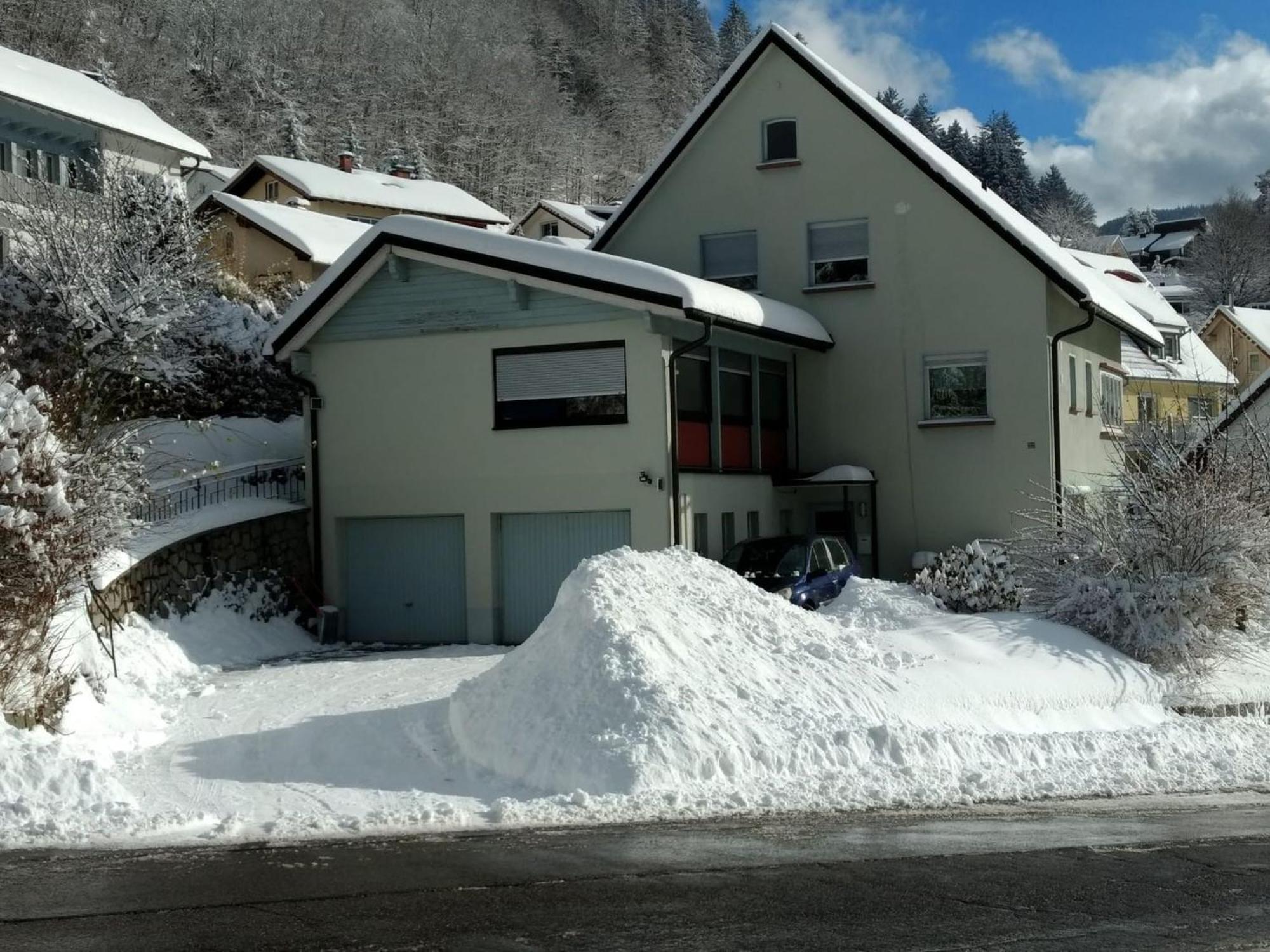 Appartement Haus Marion à Todtnau Extérieur photo